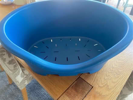 Photo of free Pet Bed (Bow Brickhill MK17) #2