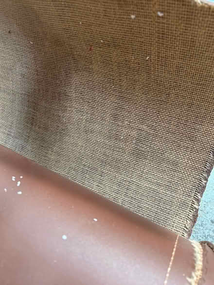 Photo of free Lino (Oulton Broad NR32) #3