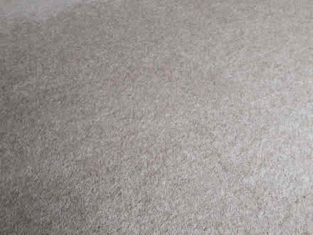 Photo of free Green Carpet (Welwyn Garden City AL8) #1