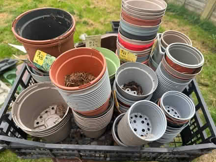 Photo of free Many pots of varying sizes (PO21 Nyetimber) #1