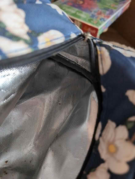 Photo of free Thermal lunch bag (PO19) #2