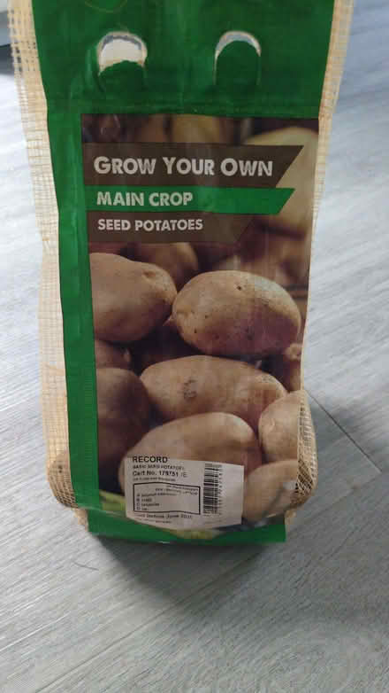 Photo of free Half Bag Of Seed Potatoes (CT6) #1