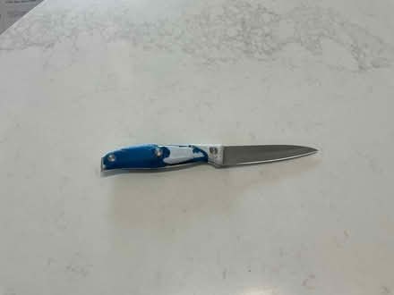 Photo of free Paring knife (The Glebe) #2