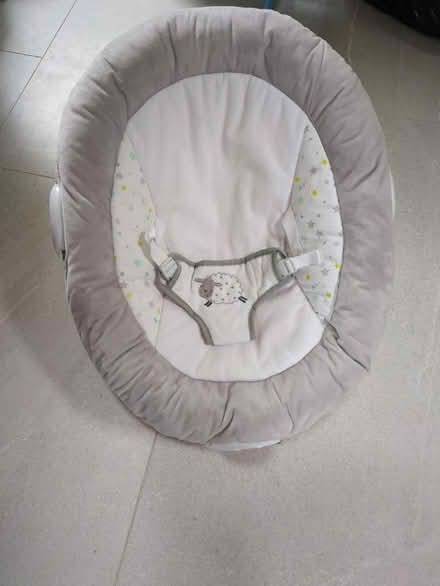Photo of free Baby bouncer (Welland, WR13) #2