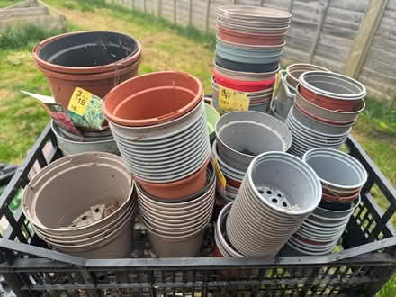 Photo of free Many pots of varying sizes (PO21 Nyetimber) #2
