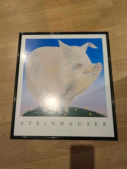 Photo of free Pig picture (Liphook GU30) #1