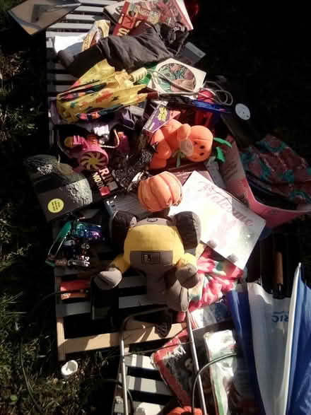 Photo of free Stuff In Trailer Park (2090 Jeannie CT Lot #40) #4