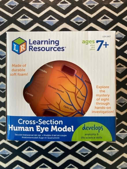 Photo of free Model of the human eye (Bath BA2) #2