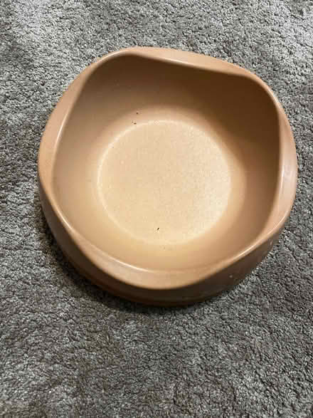 Photo of free Dog food/water bowl (Cheylesmore CV3) #1