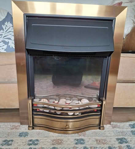 Photo of free Cosy electric fire (Caerphilly? Pontypandy) #3