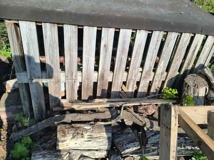 Photo of free Wood store (Ilketshall St Andrew NR34) #1