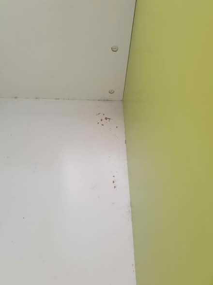 Photo of free Bench Toy box IKEA (Sandbach) #4