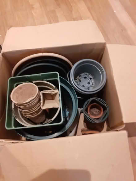 Photo of free Box of plant pots (HX7) #1