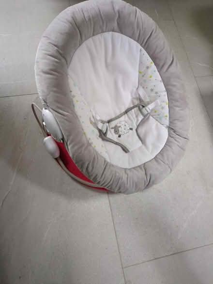 Photo of free Baby bouncer (Welland, WR13) #1