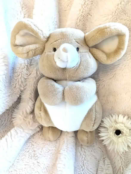 Photo of free Vintage 90 Large plush beige Cuddly toy Mouse Birthdays Bur (Bingham NG13) #1