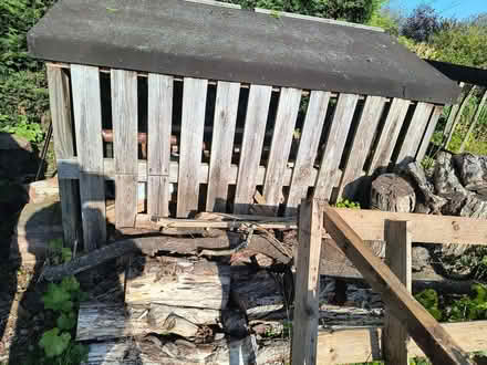 Photo of free Wood store (Ilketshall St Andrew NR34) #3