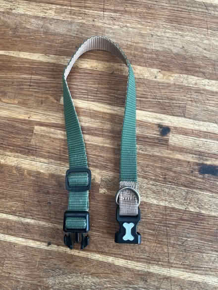 Photo of free Green Dog Collar (Littlemore OX4 4) #1