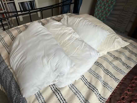 Photo of free Four pillows (Osney OX2) #1