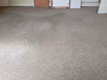 Photo of free Green Carpet (Welwyn Garden City AL8) #2