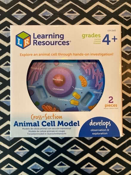 Photo of free Animal cell model (Bath BA2) #2