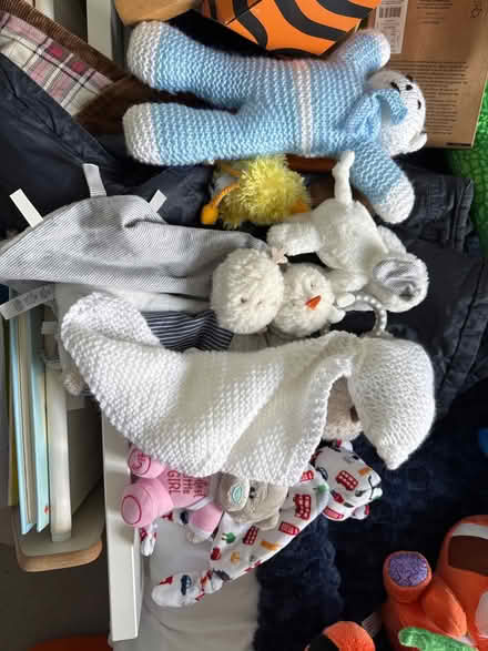 Photo of free Lucky dip baby teddies (SW4) #1