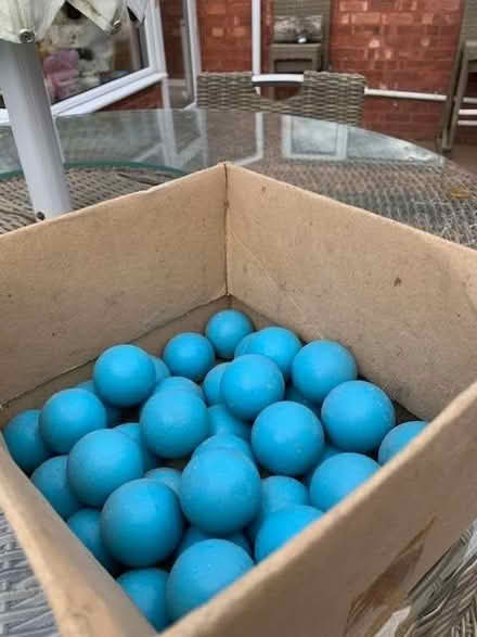 Photo of free Ping pong balls (Southport PR9) #1