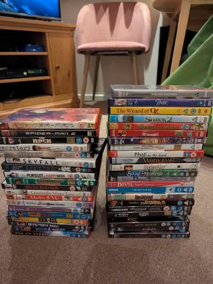Photo of free 5 bags of DVDs plus blank double layer DVD-Rs and cases (Maiden Erlegh Nature Reserve RG6) #1
