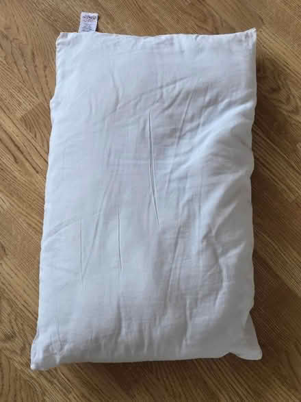 Photo of free Pillow (Springfield CM1) #1