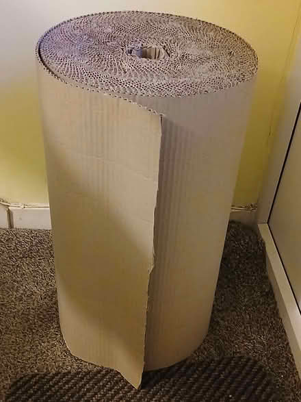 Photo of free large roll of corrugated cardboard (Palmer Park RG1) #1