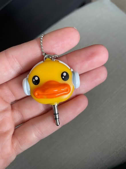 Photo of free Audio split duck (Greenwich SE10) #4