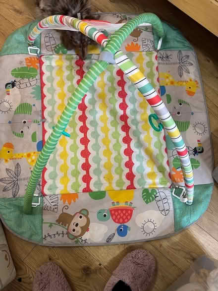 Photo of free Playmat, toys and some clothes (Chiltern District) #1