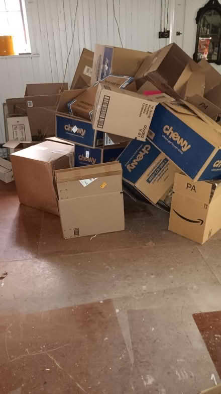 Photo of free Moving boxes (19095) #1