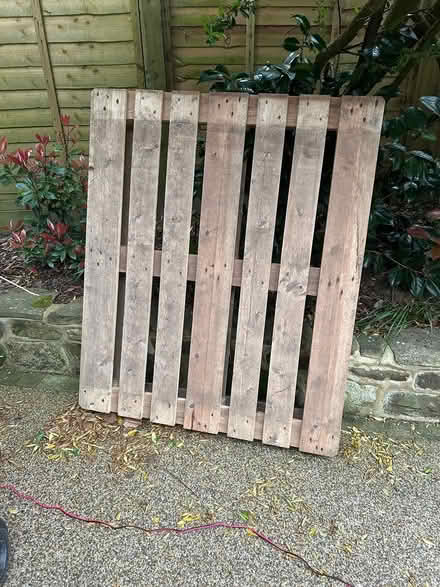 Photo of free Wooden palette (TN8 7BN) #1