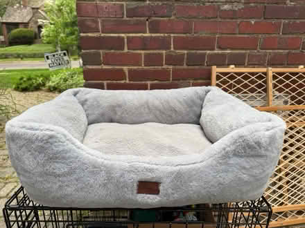 Photo of free Medium dog crate and dog stuff (Chevy chase DC) #2