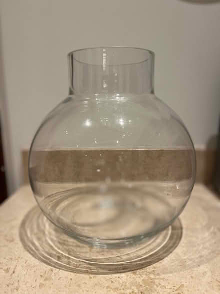 Photo of free 2x large vases (NW8) #1