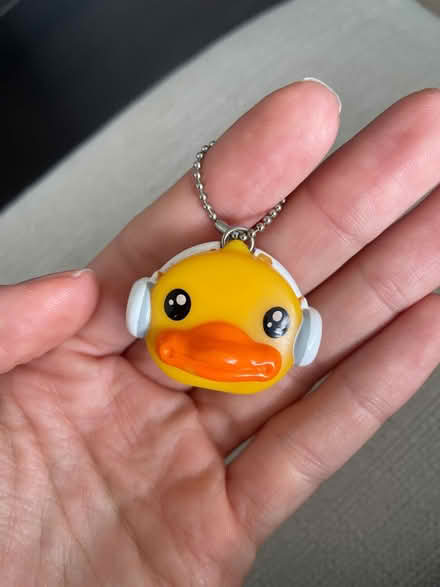 Photo of free Audio split duck (Greenwich SE10) #1