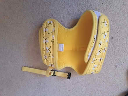 Photo of free Cart harness and lead (Musselburgh EH21) #1