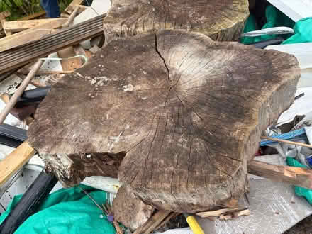 Photo of free Two pieces of tree trunk (Borrowash DE72) #2