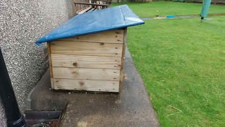 Photo of free Small animal, rabbit hutch, hen house (Hornby LA2) #2