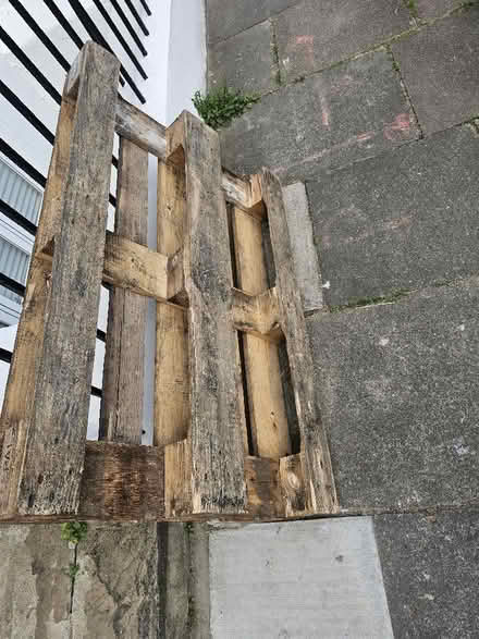 Photo of free Pallet (Greenwich SE10) #1