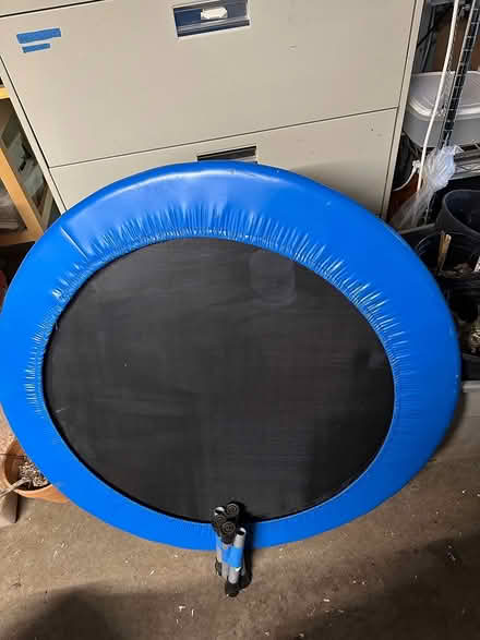 Photo of free mini trampoline (wedgwood) #1
