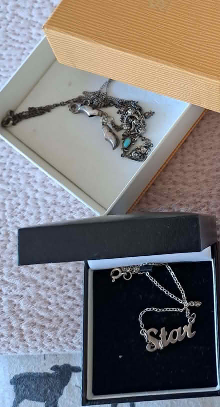 Photo of free Necklaces (Little Chalfont HP6) #1