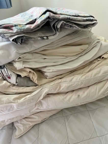 Photo of free Single bed Goose feather duvet (Dundrum) #1