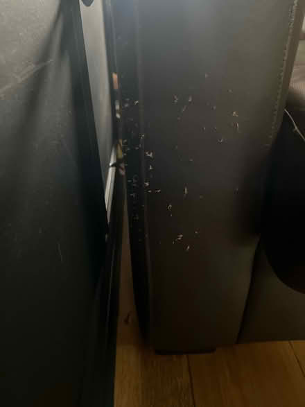 Photo of free Sofa bed brown leather (Brentford) #4