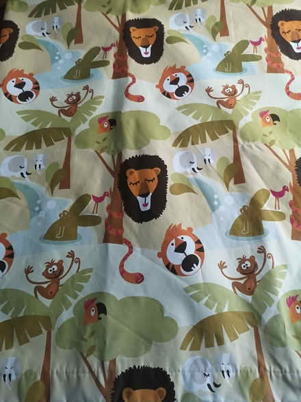 Photo of free Black out material for child's room (Heathgates SY1) #1