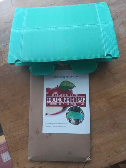 Photo of free Cudling moth trap (Almeley Hr3 6ne,) #1