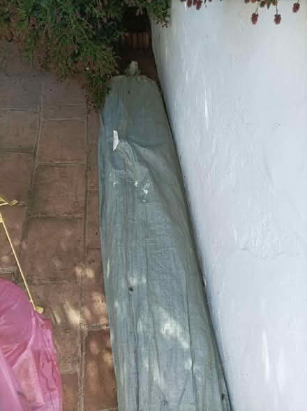 Photo of free Willow screening 3m x 2m Brand New (Rochford SS4) #3