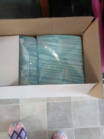 Photo of free Disposable dog pads (Valley LL65) #1