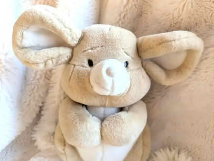 Photo of free Vintage 90 Large plush beige Cuddly toy Mouse Birthdays Bur (Bingham NG13) #2