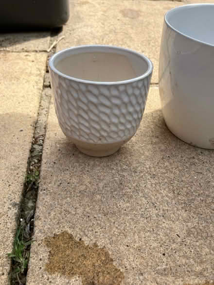 Photo of free 2 ceramic plant pots (Emerson’s Green BS16) #1